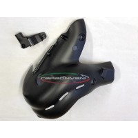 Carbonvani - Ducati Panigale / Streetfighter V4 / S / Speciale Carbon Fiber Exhaust Collector Guard Kit (OE Euro 4 Exhaust) Carbonvani - Ducati Panigale / Streetfighter V4 / S / Speciale Carbon Fiber Exhaust Collector Guard Kit (OE Euro 4 Exhaust)